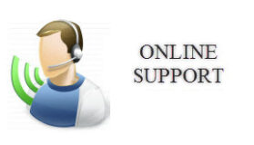 Online support